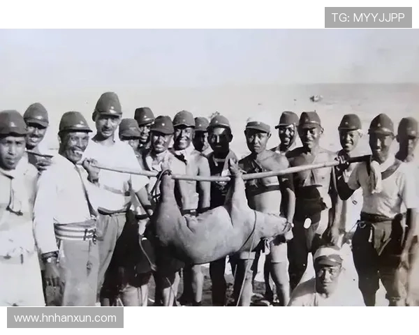 哈德森的传奇之旅探索他的成就与影响力在体育历史中的重要地位